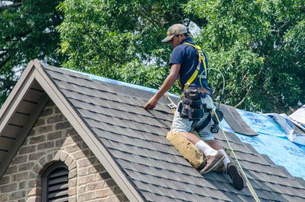 Best Storm Damage Roof Repair  in Kill Devil Hills, NC